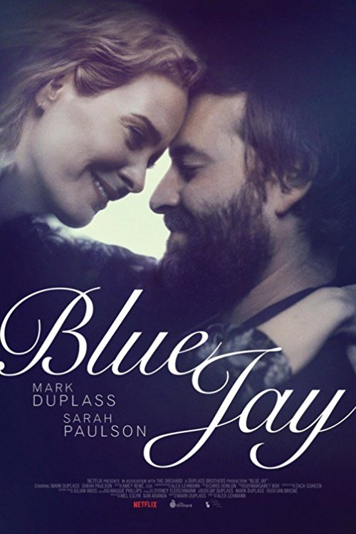 دانلود فیلم Blue Jay 2016 با دوبله فارسی