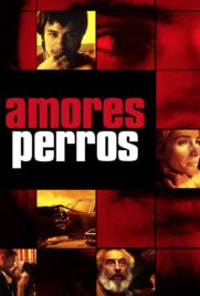 دانلود فیلم Amores Perros 2000