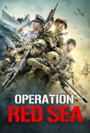 دانلود فیلم Operation Red Sea 2018