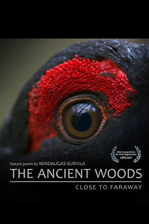 دانلود فیلم The Ancient Woods 2017