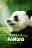 دانلود فیلم Pandas 2018 با دوبله فارسی