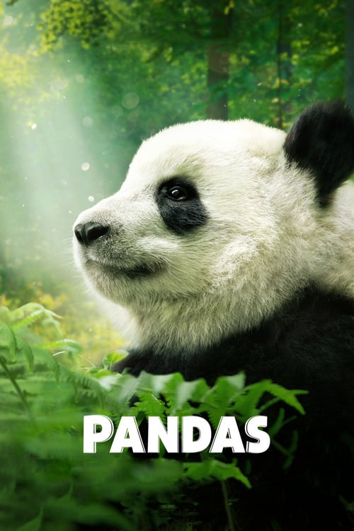 دانلود فیلم Pandas 2018 با دوبله فارسی