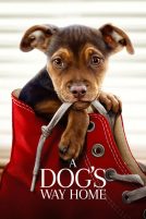 دانلود فیلم A Dogs Way Home 2019 با دوبله فارسی