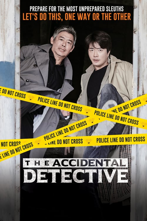 دانلود فیلم The Accidental Detective 2015 با دوبله فارسی