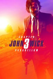 دانلود فیلم John Wick: Chapter 3 – Parabellum 2019 با دوبله فارسی