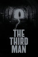 دانلود فیلم The Third Man 1949 با دوبله فارسی