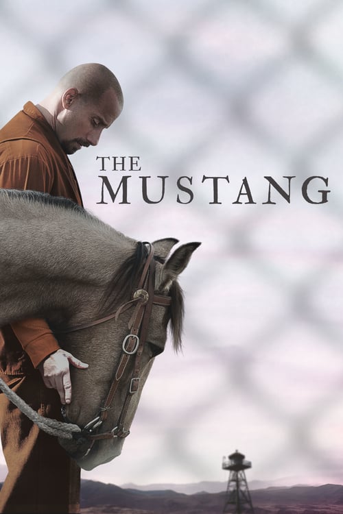 دانلود فیلم The Mustang 2019 با دوبله فارسی