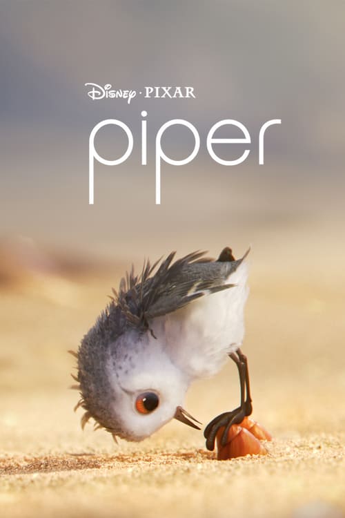 دانلود انیمیشن Piper 2016