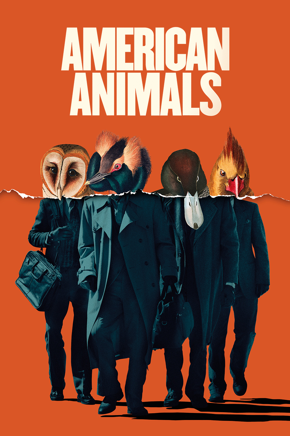دانلود فیلم American Animals 2018 با دوبله فارسی