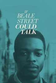 دانلود فیلم If Beale Street Could Talk 2018 با دوبله فارسی