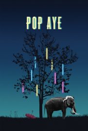 دانلود فیلم Pop Aye 2017 با دوبله فارسی