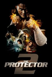 دانلود فیلم The Protector 2 2013 با دوبله فارسی