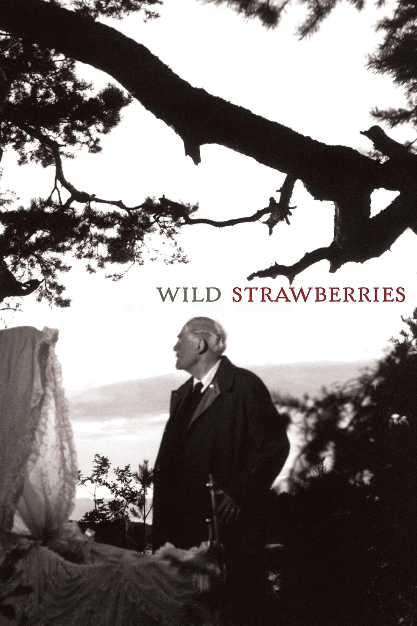 دانلود فیلم Wild Strawberries 1957 با دوبله فارسی