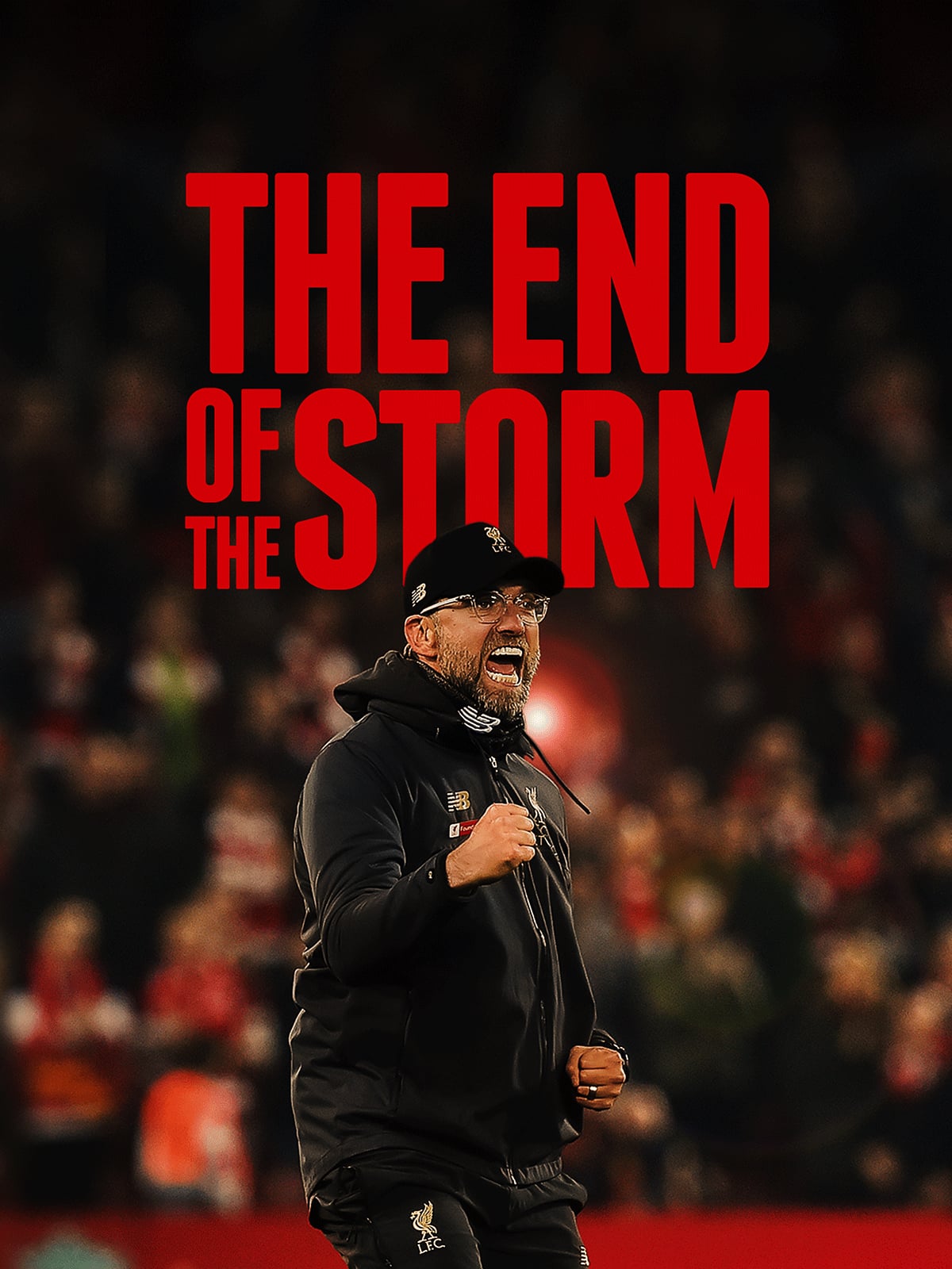 دانلود فیلم The End of the Storm 2020