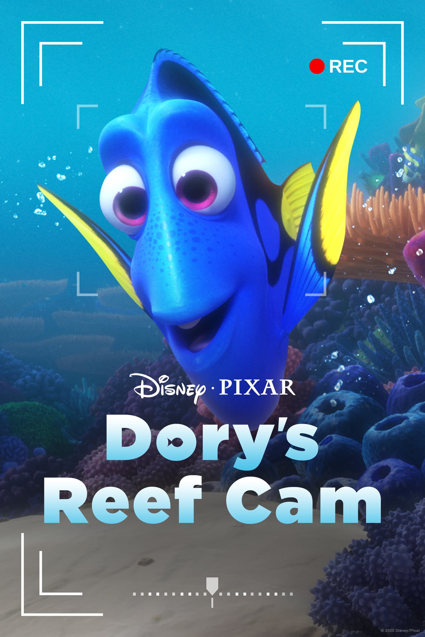 دانلود فیلم Dory's Reef Cam 2020