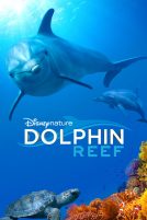 دانلود فیلم Dolphin Reef 2018 با دوبله فارسی