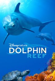 دانلود فیلم Dolphin Reef 2018 با دوبله فارسی