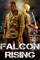 دانلود فیلم Falcon Rising 2014 با دوبله فارسی
