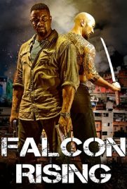 دانلود فیلم Falcon Rising 2014 با دوبله فارسی