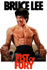دانلود فیلم Fist of Fury 1972 با دوبله فارسی