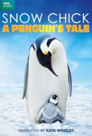 دانلود فیلم Snow Chick: A Penguin’s Tale 2015 با دوبله فارسی