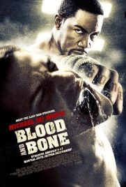 دانلود فیلم Blood and Bone 2009